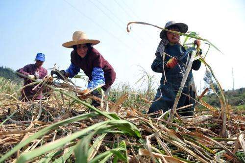 欧洲思想解放运动_解放运动_印度民族解放运动