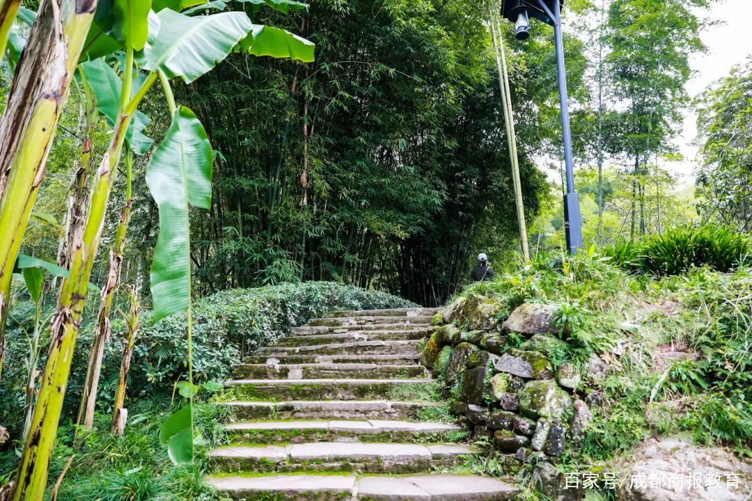 哈尔滨健身步道_仰天窝健身步道_公园健身步道