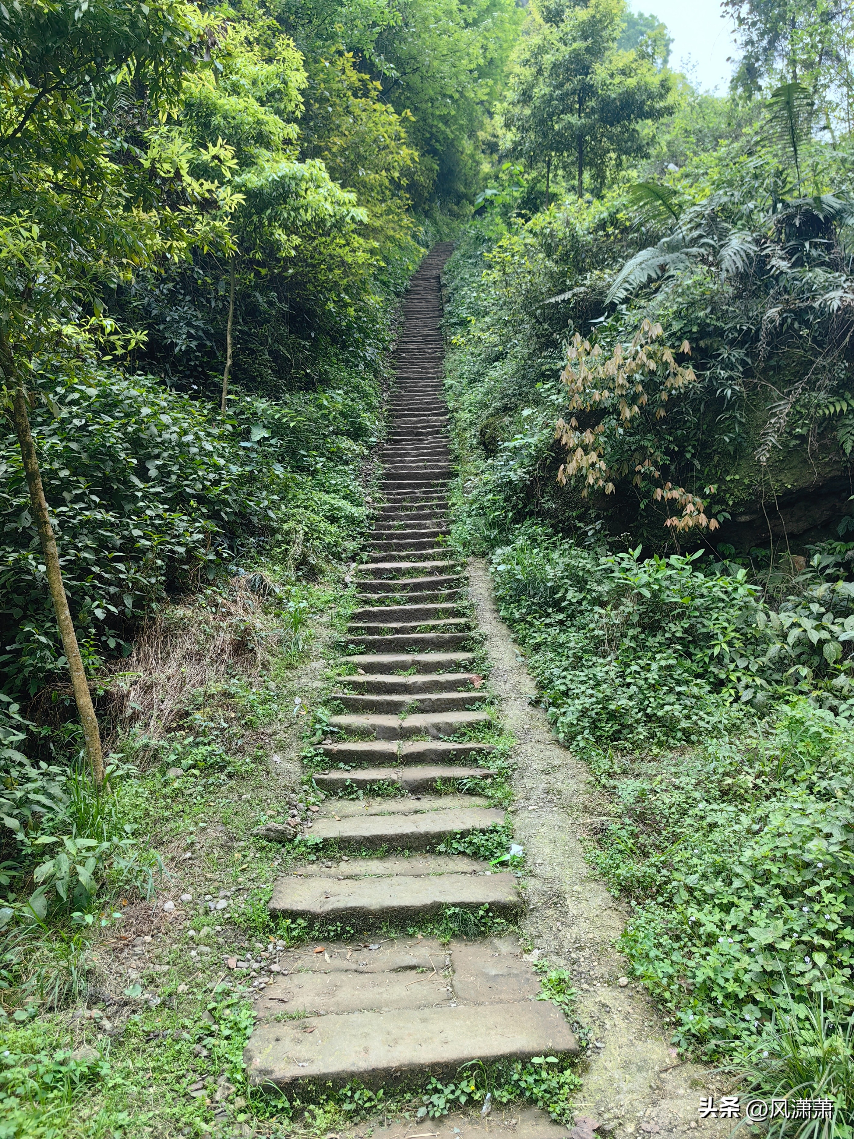 公园健身步道建设标准_呼市大青山健身步道图_仰天窝健身步道