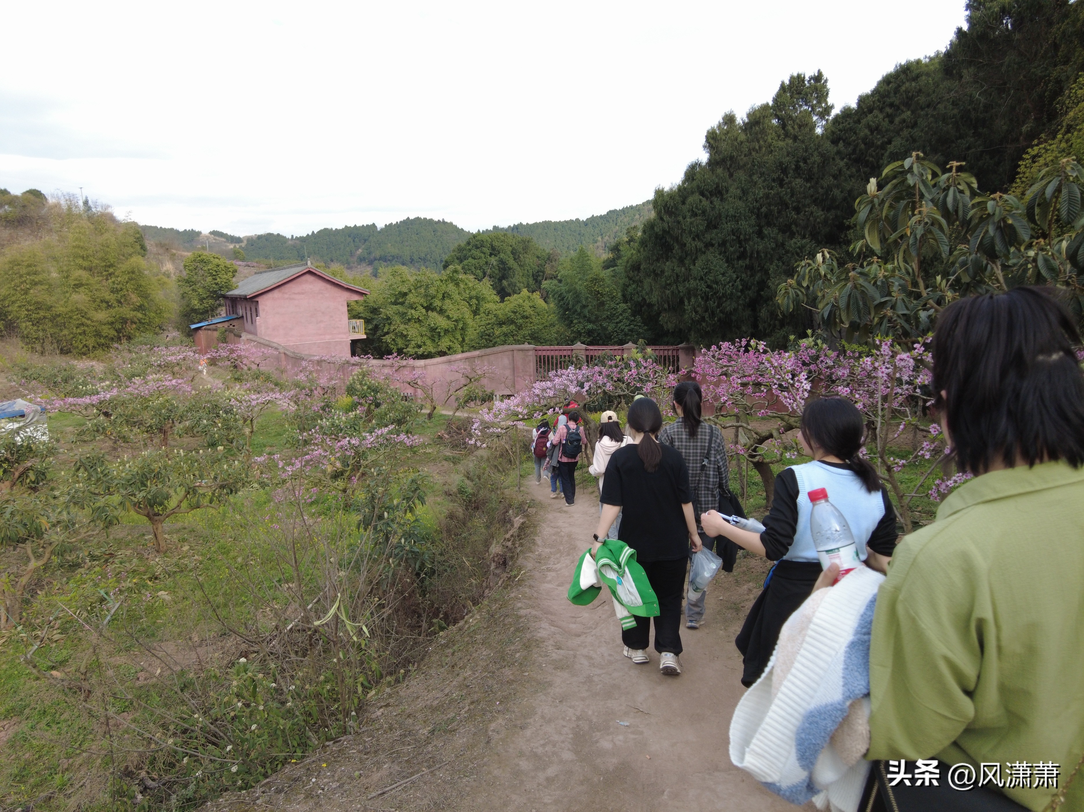 呼市大青山健身步道图_公园健身步道建设标准_仰天窝健身步道