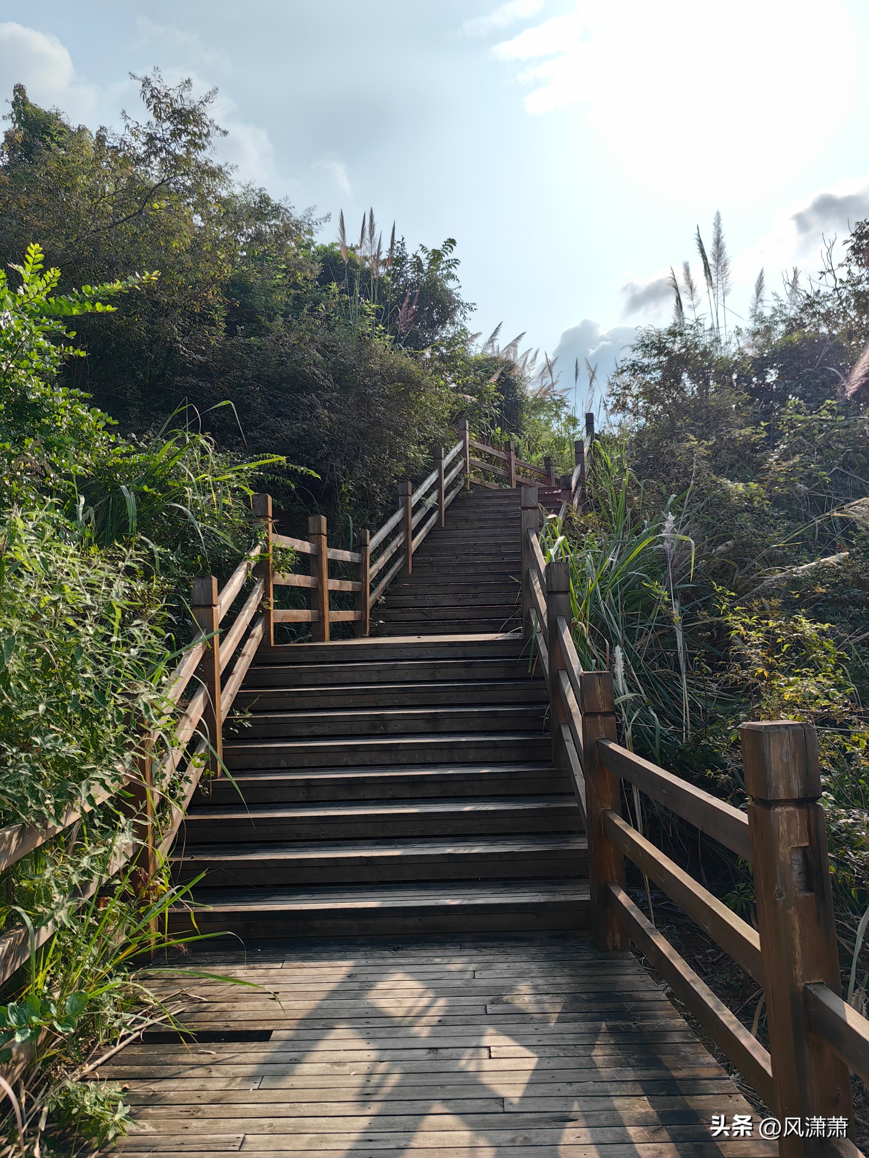 仰天窝健身步道_公园健身步道建设标准_呼市大青山健身步道图