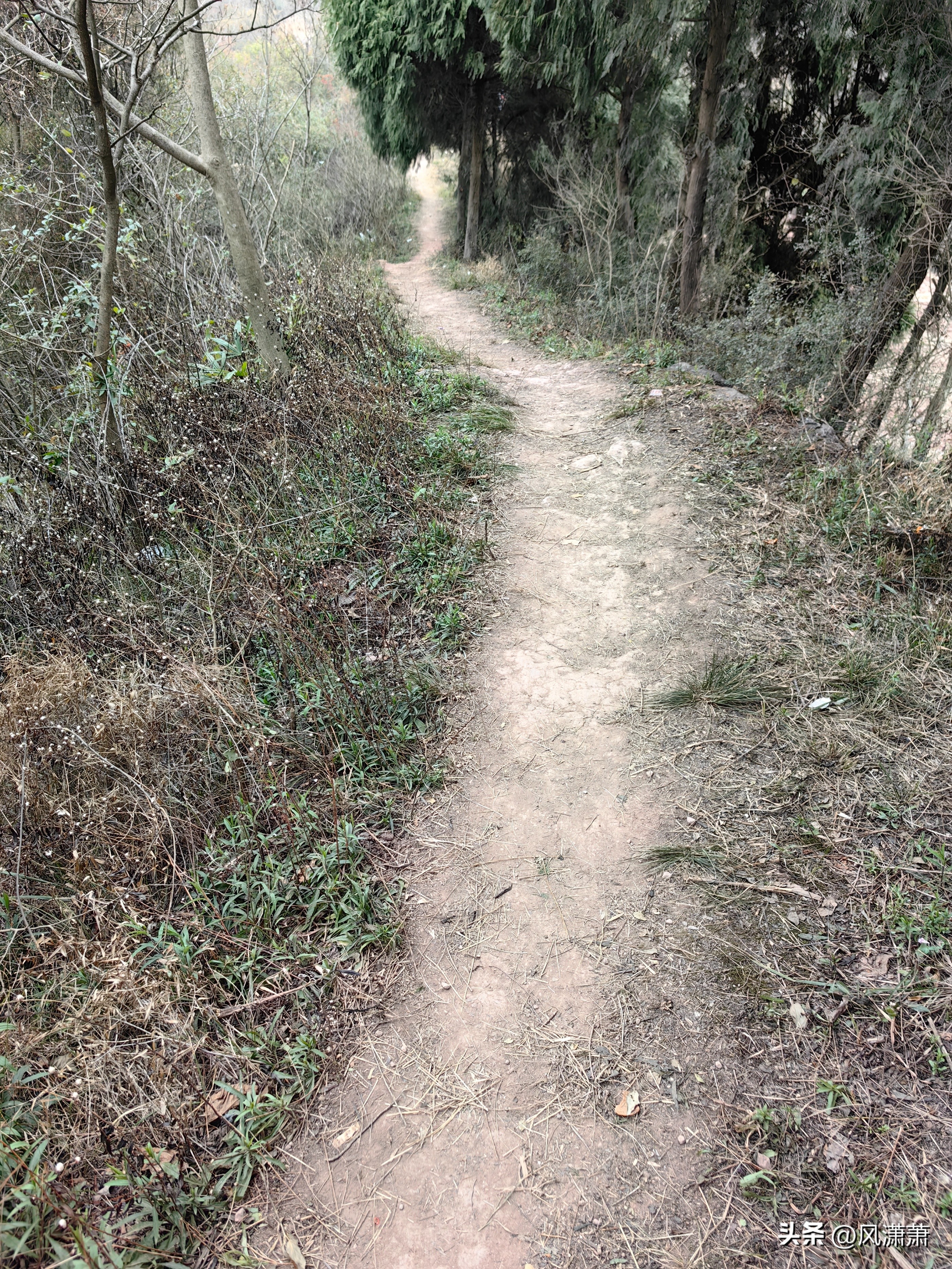 仰天窝健身步道_呼市大青山健身步道图_公园健身步道建设标准