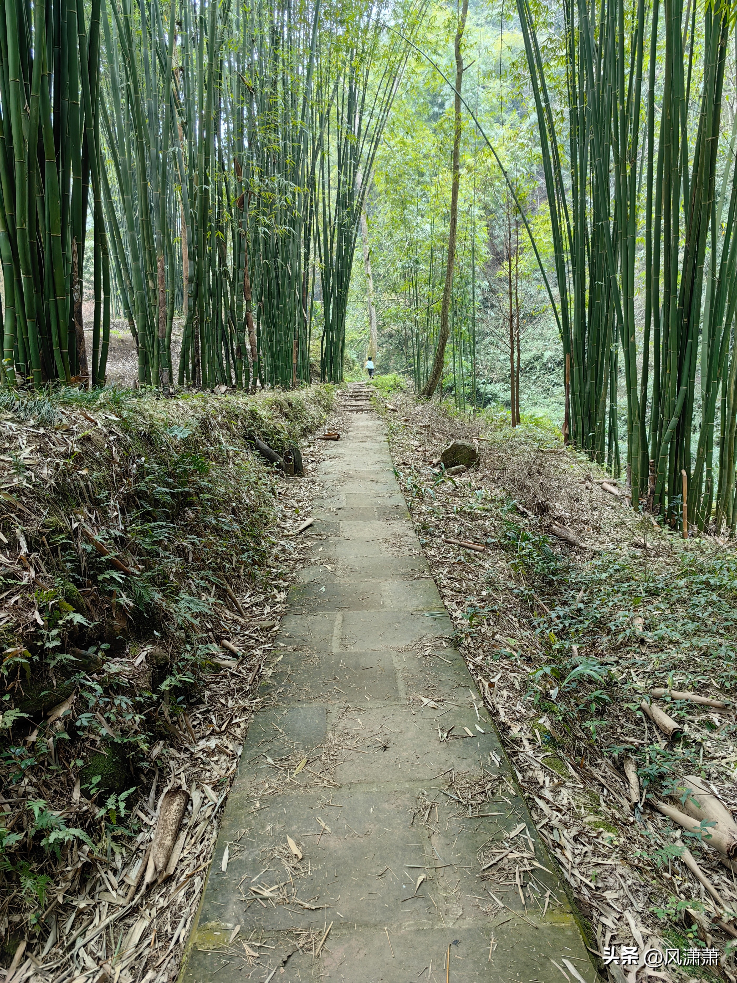公园健身步道建设标准_呼市大青山健身步道图_仰天窝健身步道