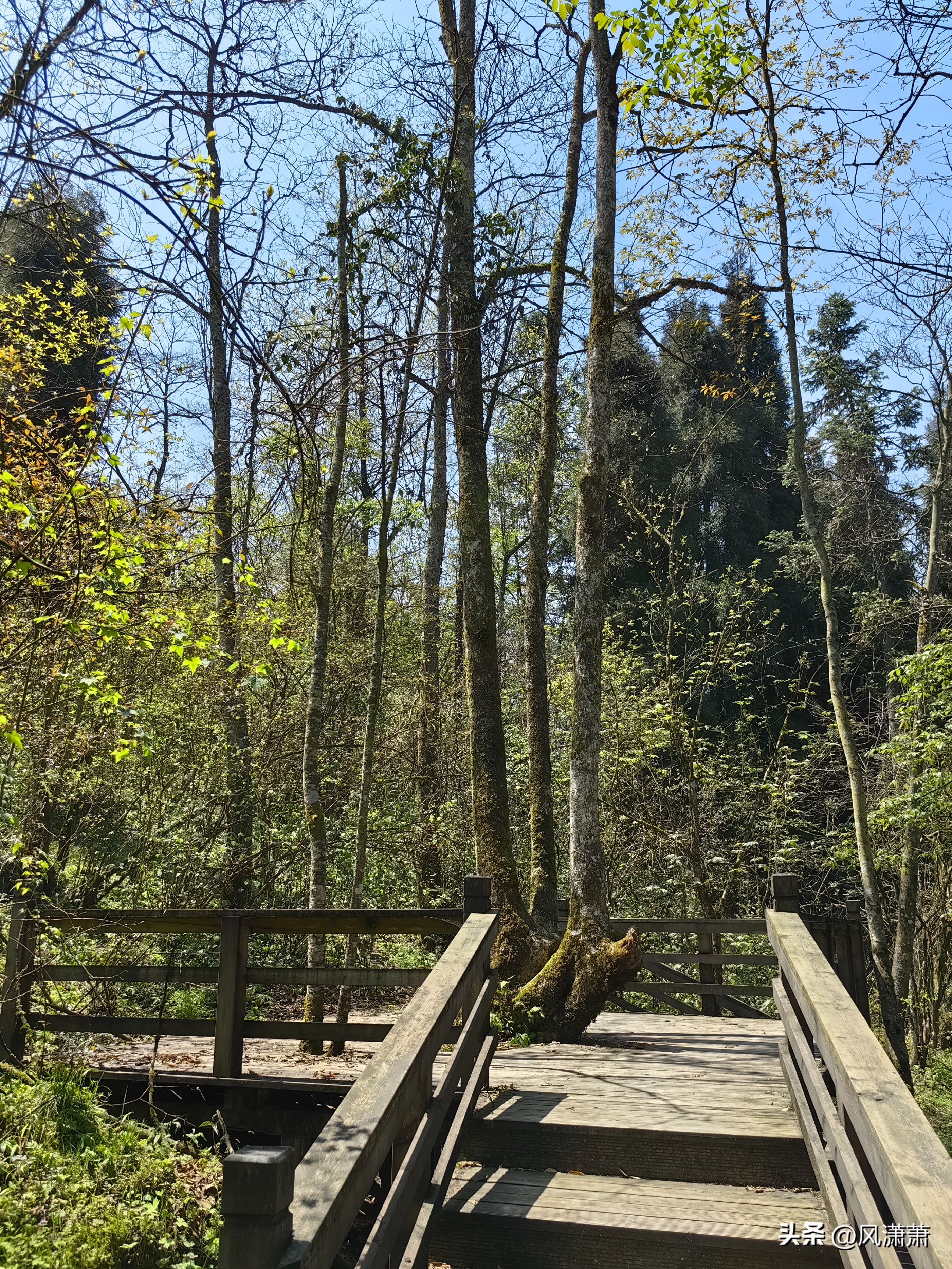 呼市大青山健身步道图_仰天窝健身步道_公园健身步道建设标准
