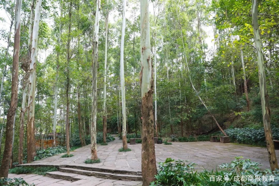 哈尔滨健身步道_公园健身步道_仰天窝健身步道