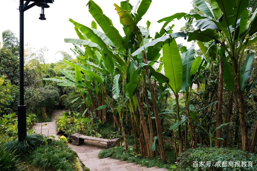 公园健身步道_哈尔滨健身步道_仰天窝健身步道
