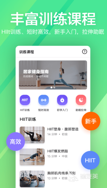 健身好用的器材_健身好用的动作_好用的健身