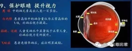 硒旺胶囊纳米硒_硒健身_硒神片天然硒蛋白