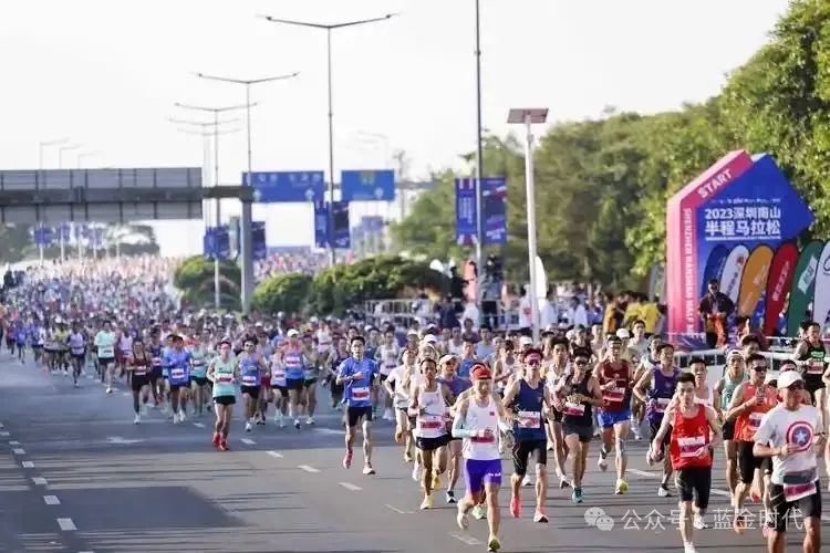 运动员训练计划_运动员训练计划书_运动训练计划总结