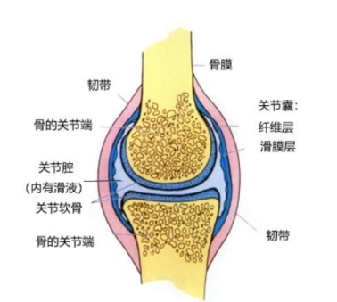 点击查看原始图片