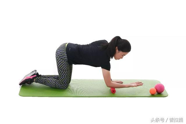 运动筋膜学pdf资源_运动筋膜学pdf电子书_运动筋膜学